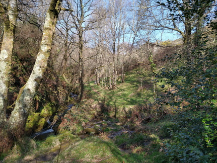 IMG 20210306 110133981 HDR