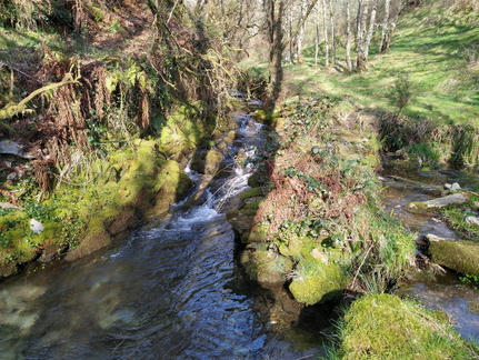 IMG 20210306 110157335 HDR