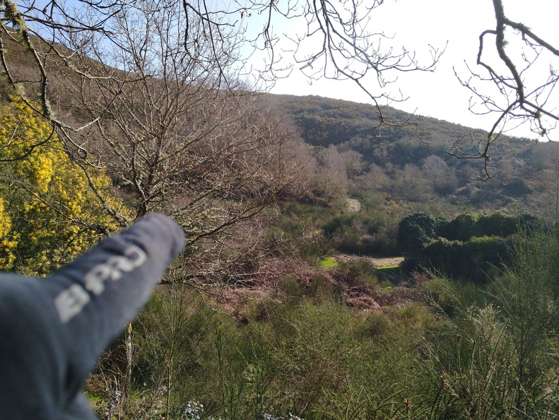 IMG 20210306 110833556