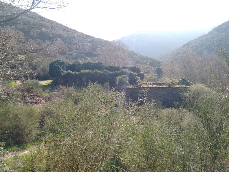 IMG 20210306 110903658