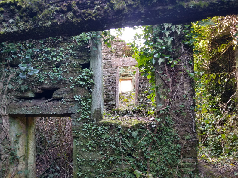 IMG 20210306 111138298 HDR