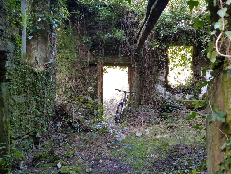 IMG 20210306 111155798 HDR