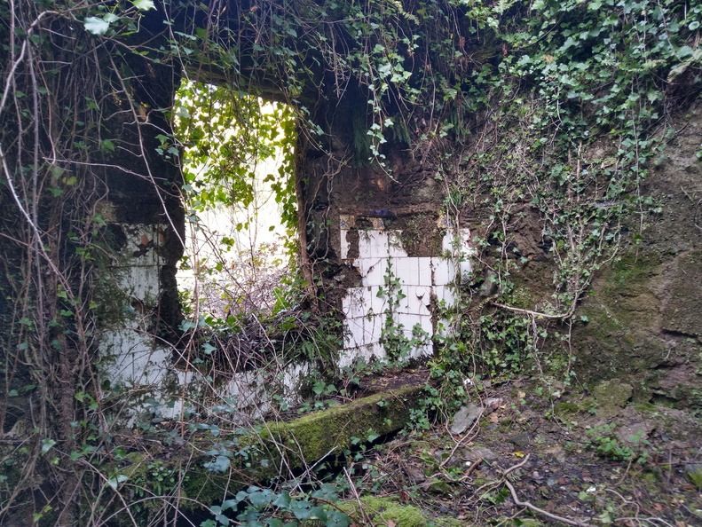 IMG 20210306 111202472 HDR