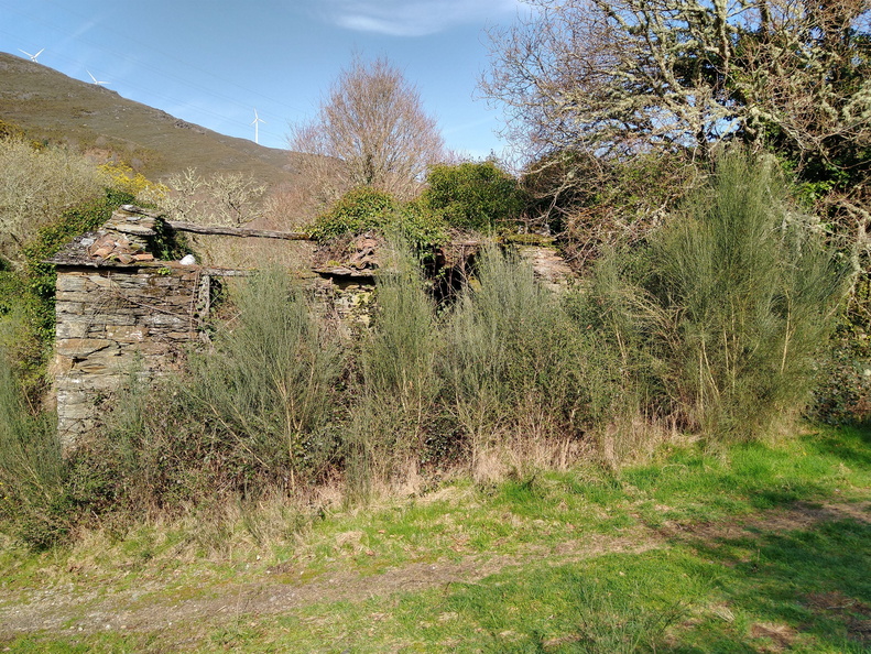 IMG 20210306 111413134 HDR