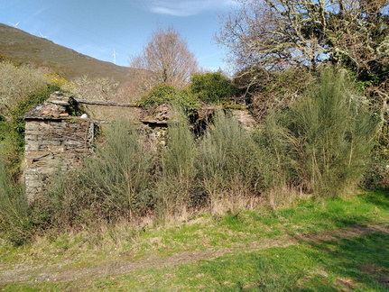 IMG 20210306 111413134 HDR