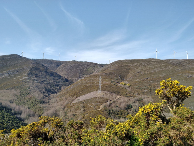 IMG 20210306 112340004 HDR