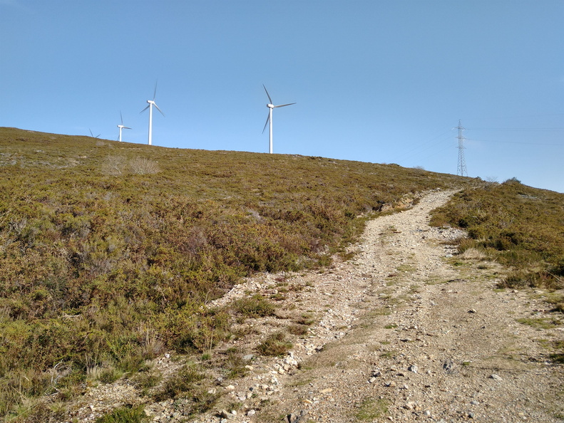 IMG 20210306 113018376 HDR