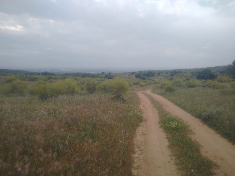 IMG 20210425 102036536