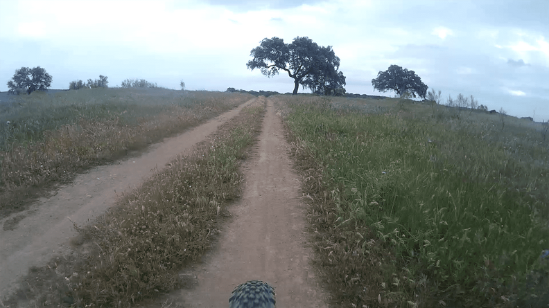 vlcsnap-2021-04-25-01