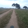vlcsnap-2021-04-25-01