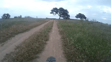 vlcsnap-2021-04-25-01