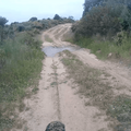 vlcsnap-2021-04-25-02