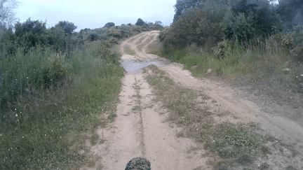 vlcsnap-2021-04-25-02