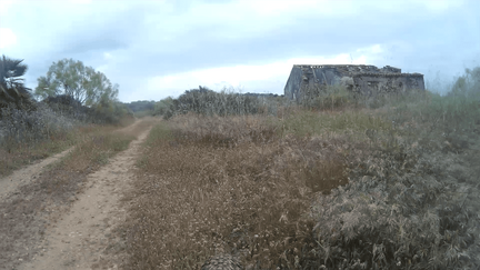 vlcsnap-2021-04-25-03