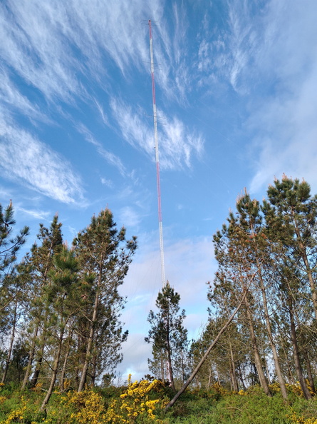 IMG 20210508 094220623 HDR