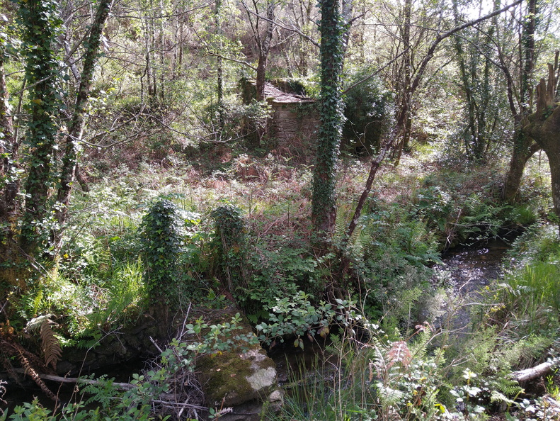 IMG 20210508 102255461