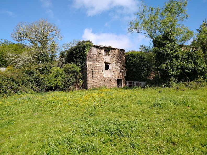 IMG 20210508 111039966