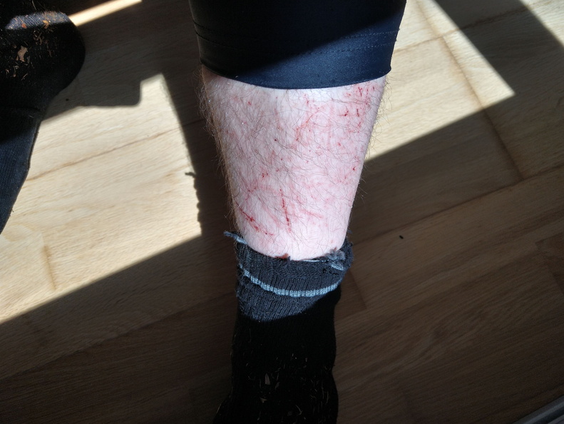 IMG 20210508 121242535 HDR