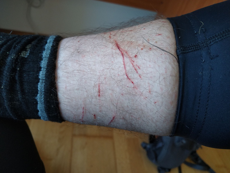 IMG 20210508 124929308