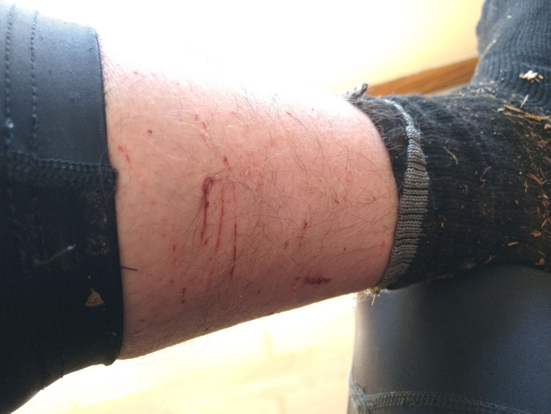 IMG 20210508 124937980