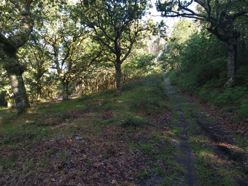 IMG 20210523 092046802