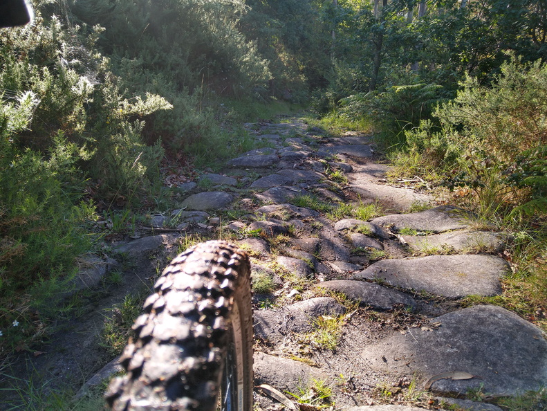 IMG 20210523 092415611 HDR