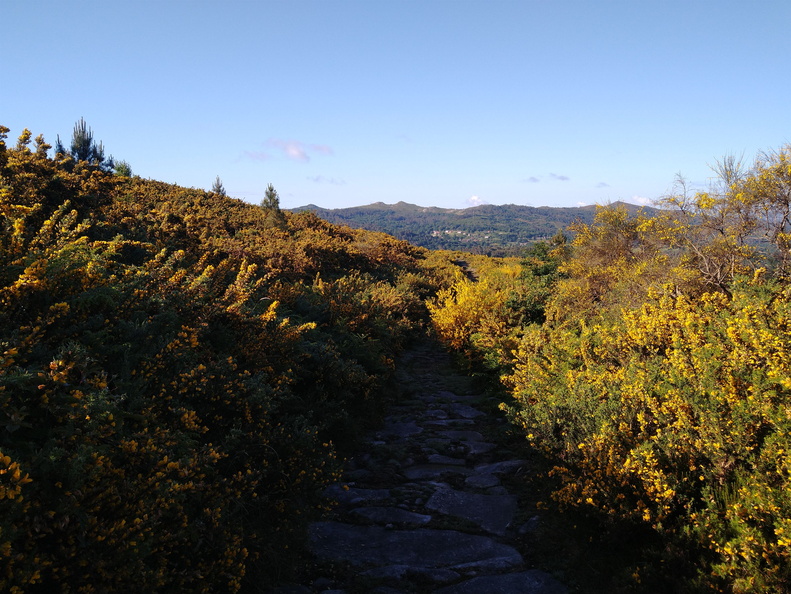 IMG 20210523 093118352