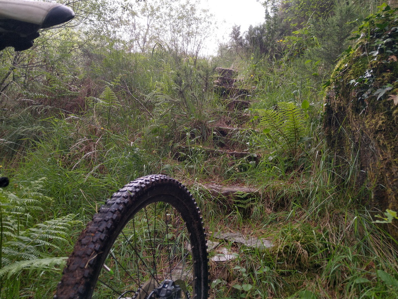 IMG 20210530 090805447 HDR