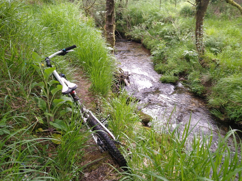 IMG 20210530 091305282