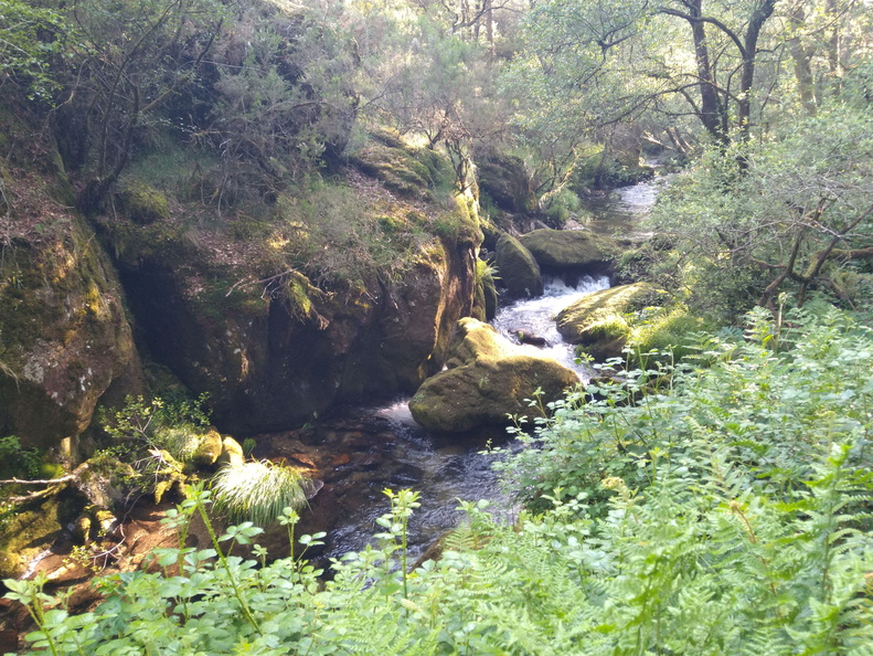 IMG 20210530 092733998