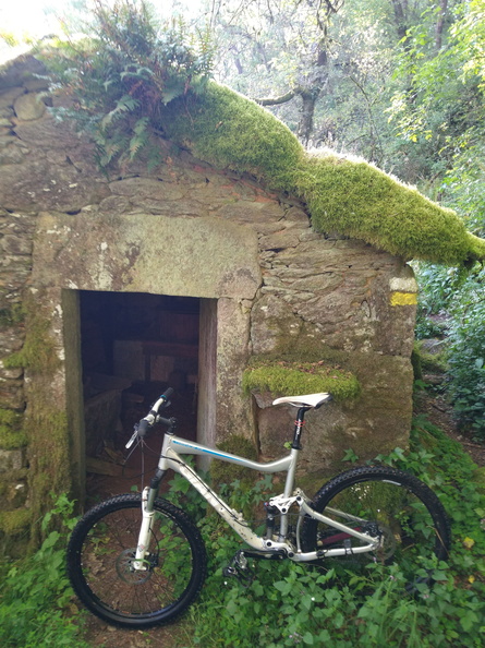 IMG 20210530 092913734