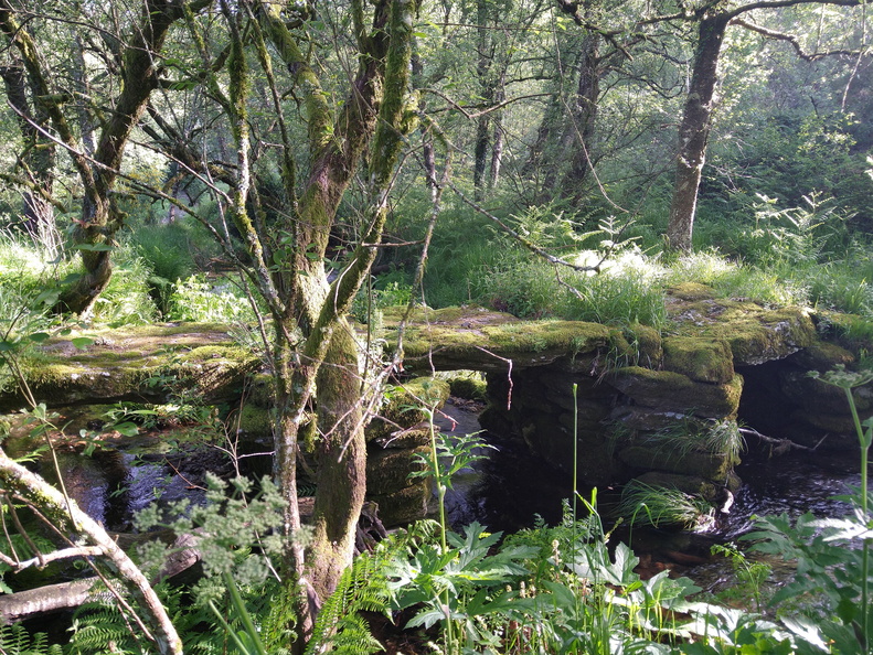 IMG 20210530 093358805