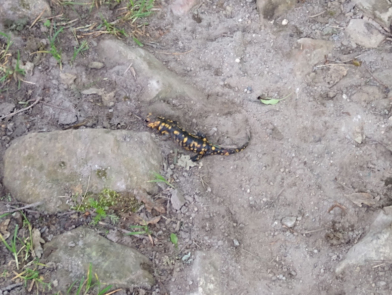 IMG 20210530 093814833