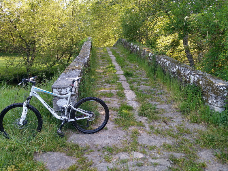 IMG 20210530 094504414 HDR