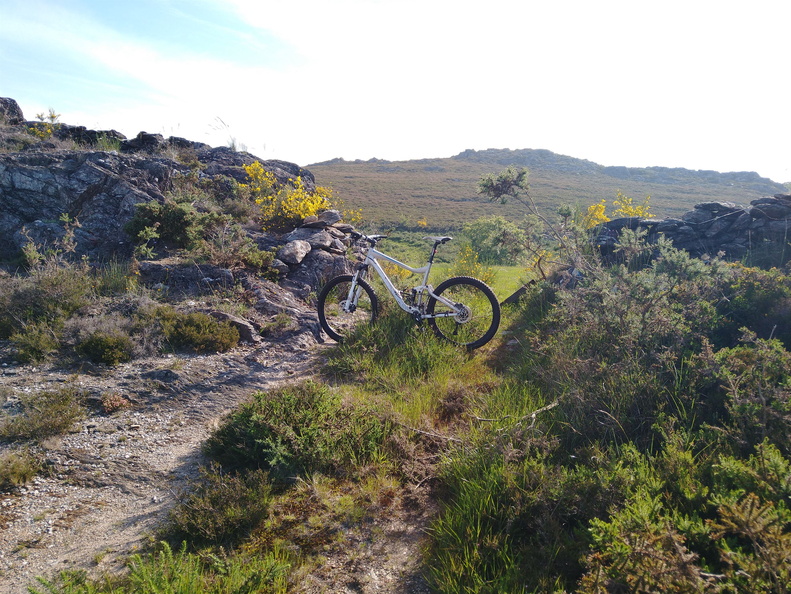 IMG 20210530 095945063