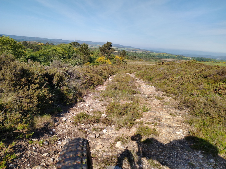 IMG 20210530 101257475 HDR