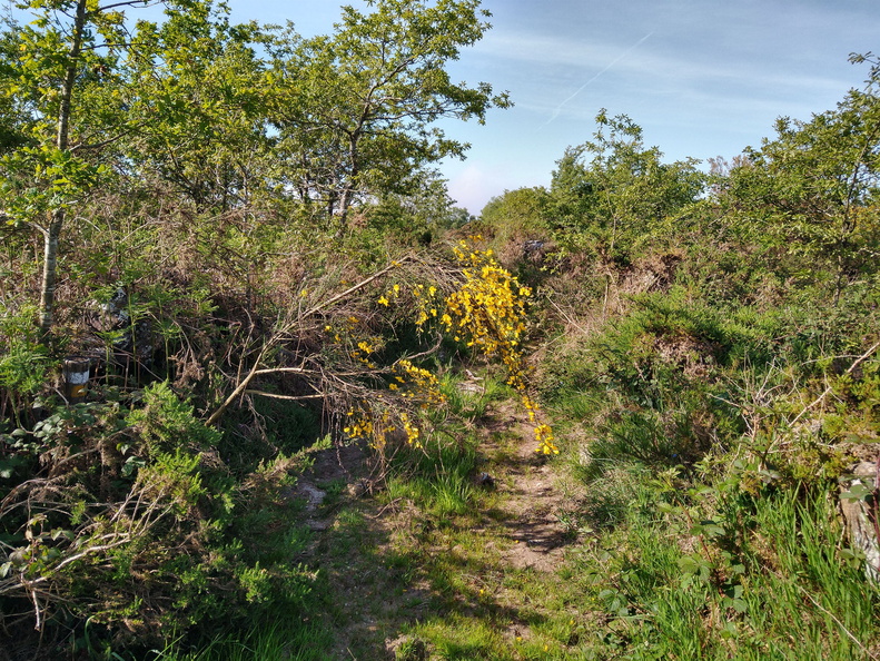 IMG 20210530 102924524 HDR