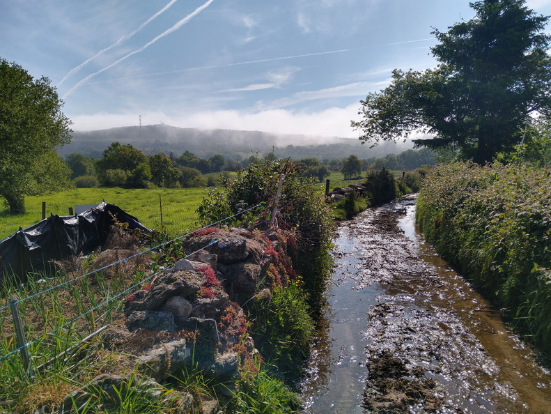 IMG 20210530 103658788 HDR