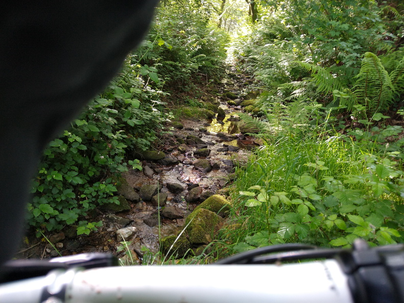 IMG 20210530 104516724