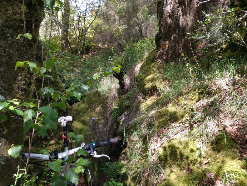 IMG 20210530 115201070