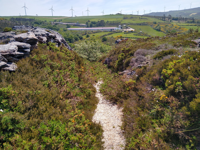 IMG 20210530 120626575 HDR