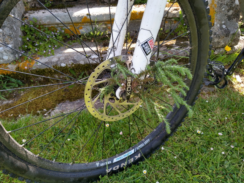 IMG 20210530 121645682 HDR