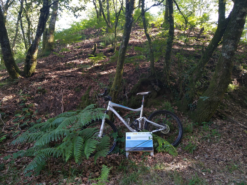 IMG 20210626 102535057