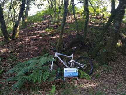 IMG 20210626 102535057