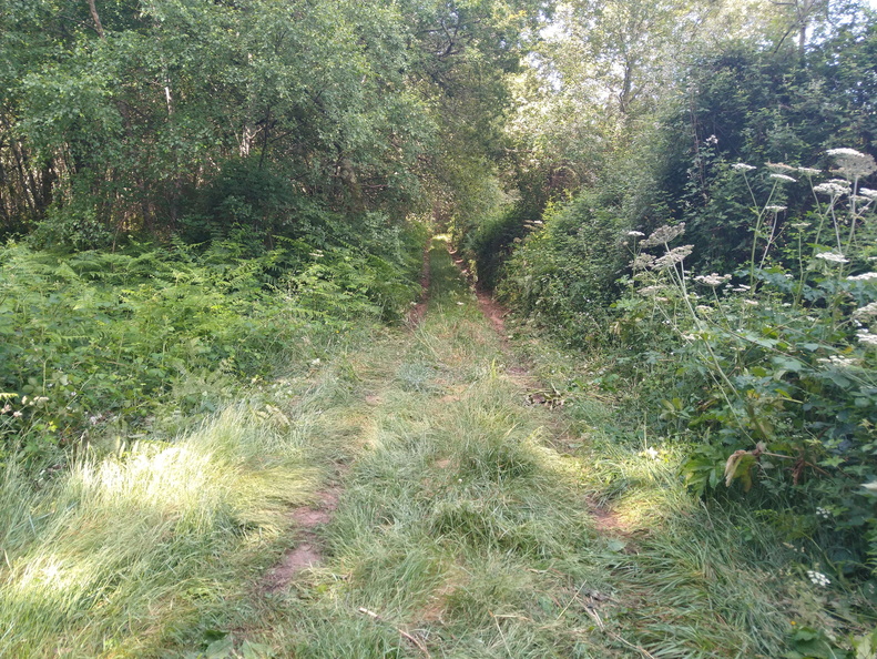 IMG 20210626 103805138