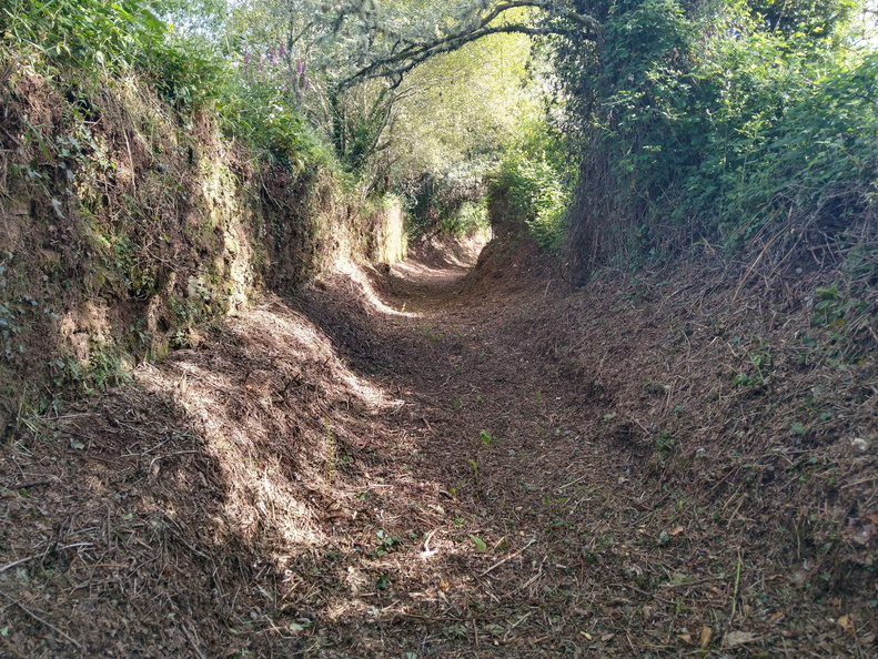 IMG 20210626 104030620 HDR