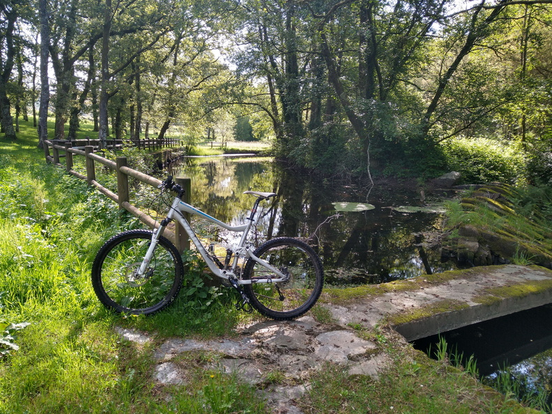 IMG 20210626 104536309 HDR