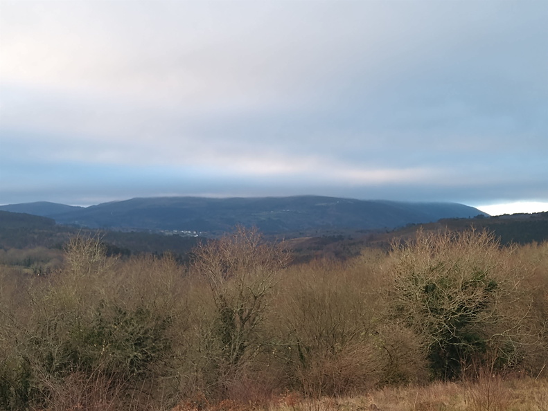 IMG 20220205 091341092