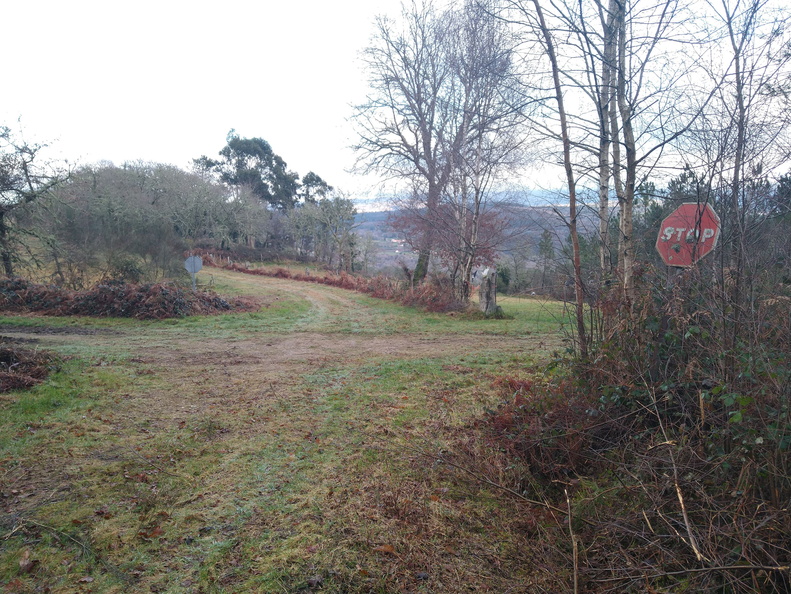 IMG 20220205 095446536