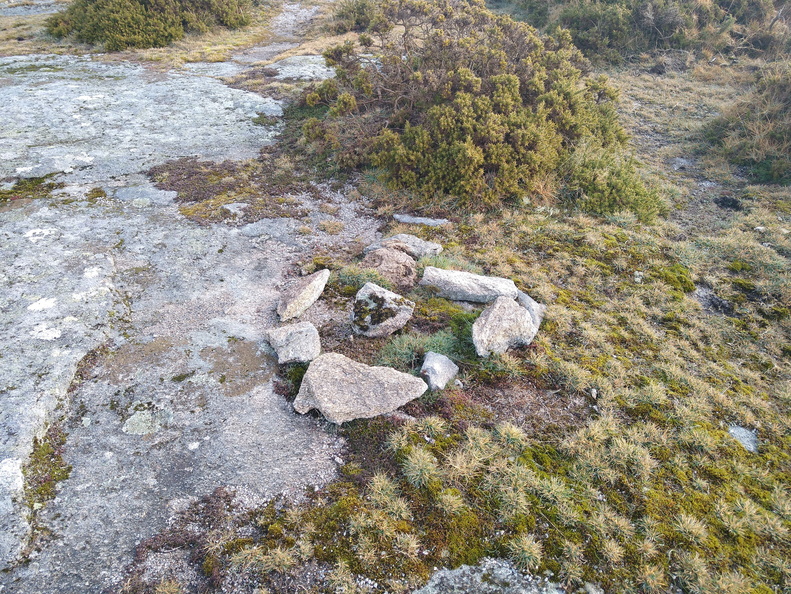 IMG 20220205 112438338